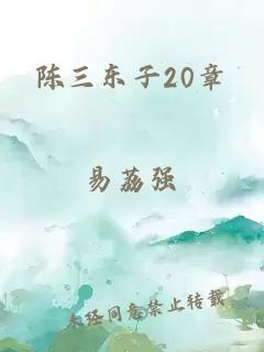 陈三东子20章