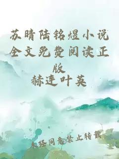 苏晴陆铭煜小说全文免费阅读正版